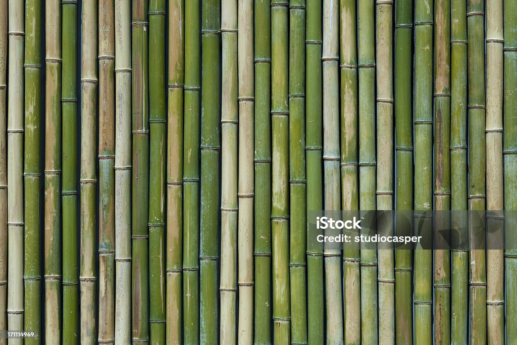 Bamboo texture Bamboo - Plant Stock Photo