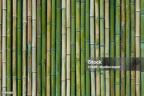 Bamboo Texture Stock Photo - Download Image Now - Bamboo - Plant, Bamboo - Material, Backgrounds