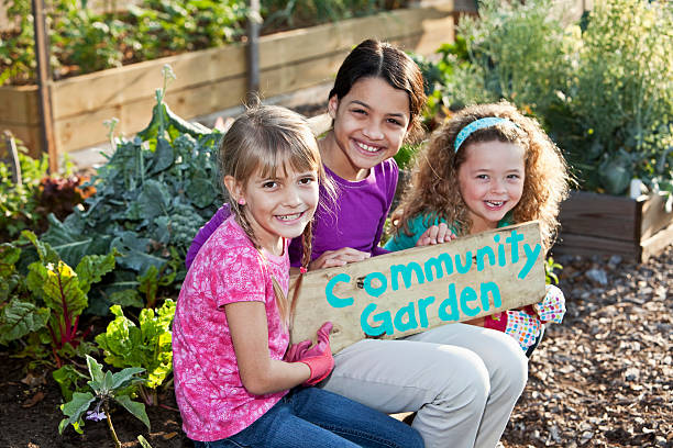 Girls holding community garden sign Girls (6 to 11 years) at community garden, holding sign.   Main focus on blond girl in foreground. community garden sign stock pictures, royalty-free photos & images