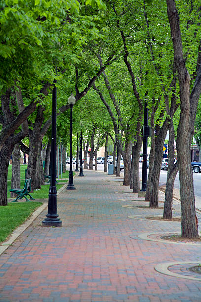 spadina crescent promenade à saskatoon saskatchewan - saskatoon saskatchewan canada downtown district photos et images de collection
