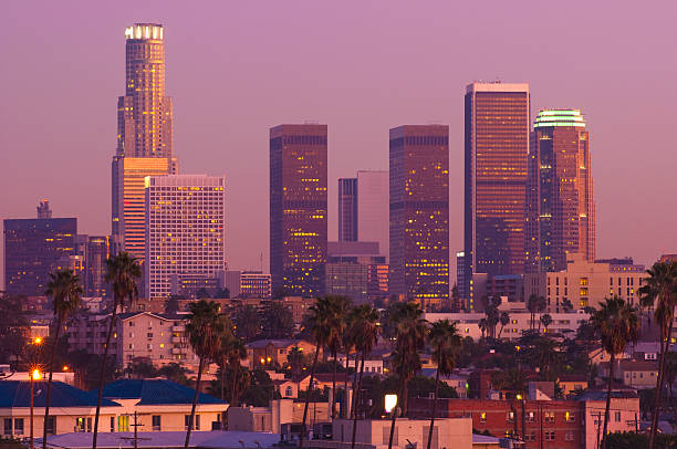 istock Los Angeles skyline at dusk with palm trees 171115655