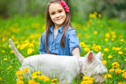 Cute little girl with dog on the lawn with dandelions