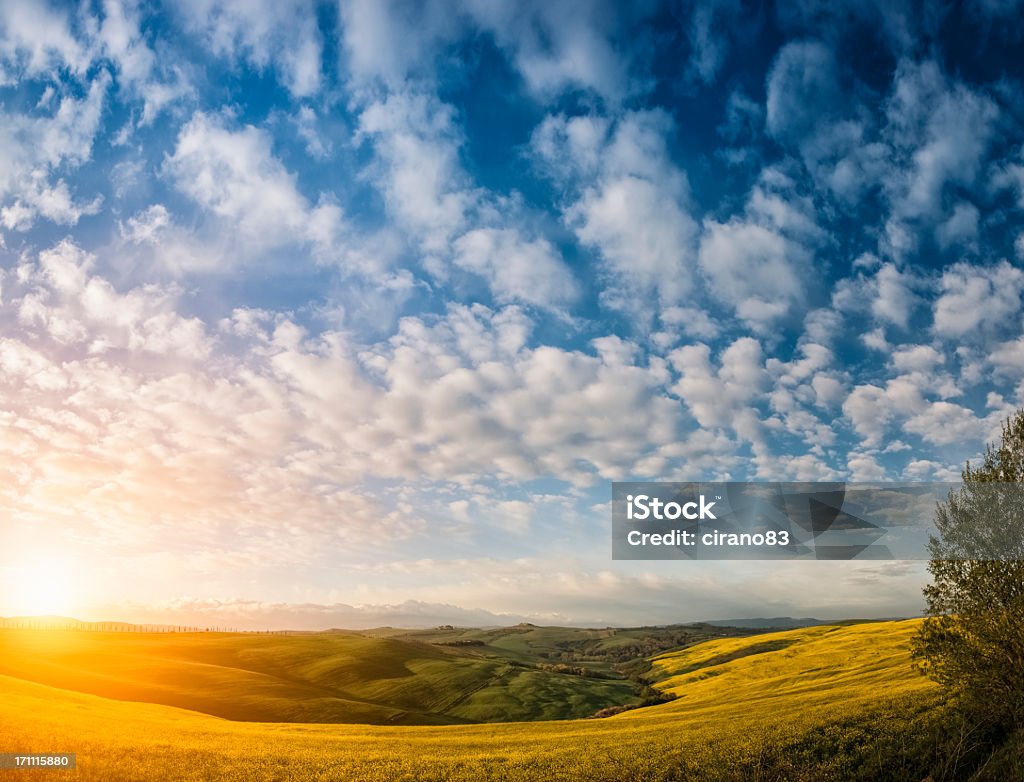 Val d'Orcia Paisagem - Royalty-free Agricultura Foto de stock