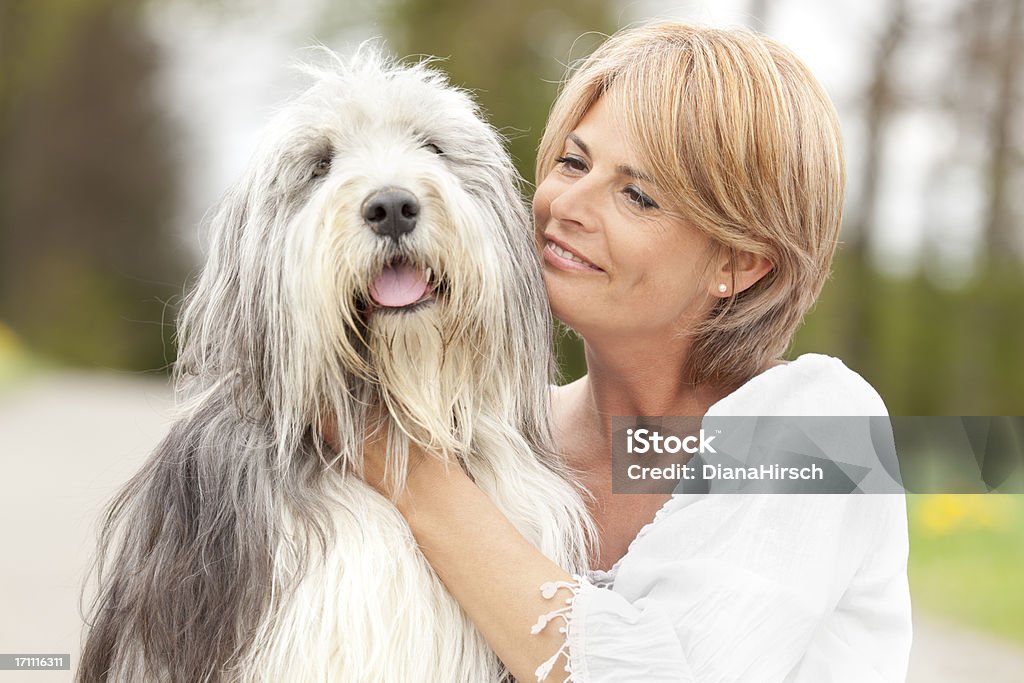 lovely hug between woman and her dog lovely hug between beautiful mature woman and her bearded collie,selective focus Bearded Collie Stock Photo