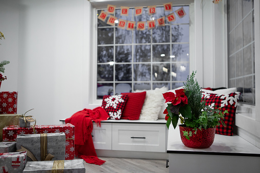 Living room bench with holiday plant arrangement with winter in background