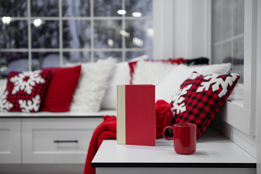 Christmas living room bench with novel and coffee mug with winter in background