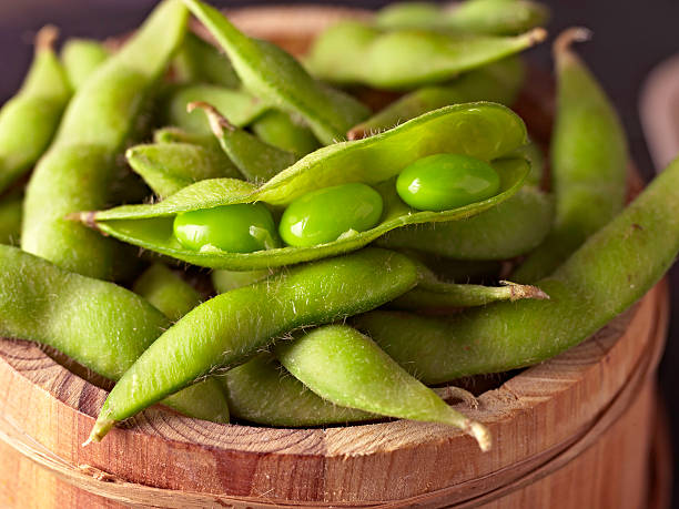 edamame - edamame imagens e fotografias de stock