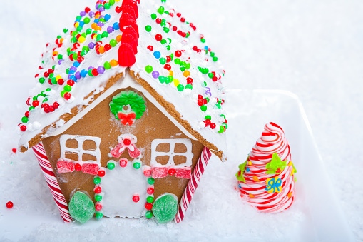 Gingerbread house and christmas fir trees winter holiday celebration concept