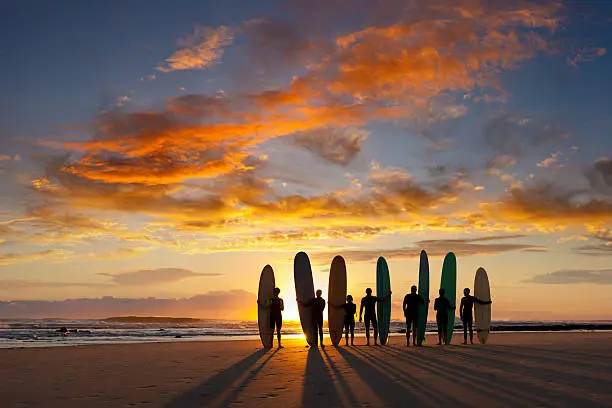 A group of young and old malibu (longboard) surfers about to go surfing at sunrise.