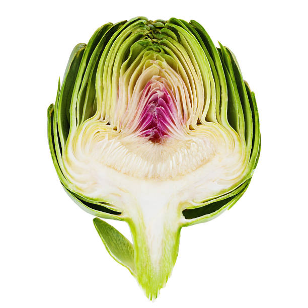 artichaut partielle sur blanc - artichoke vegetable isolated food photos et images de collection