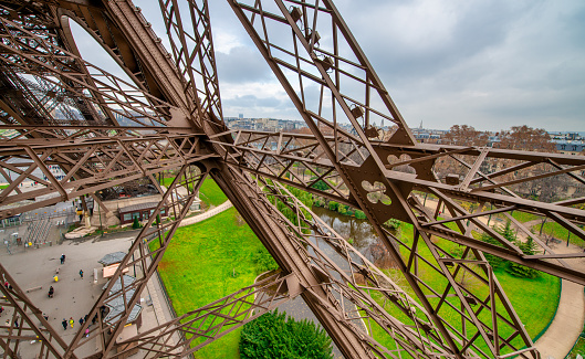 Famous Eiffel Tower with spring tree in Paris, France