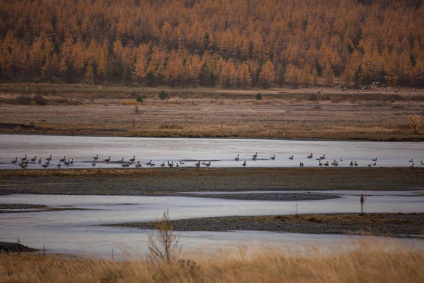 Beautiful landscape from northern Iceland in autumn.