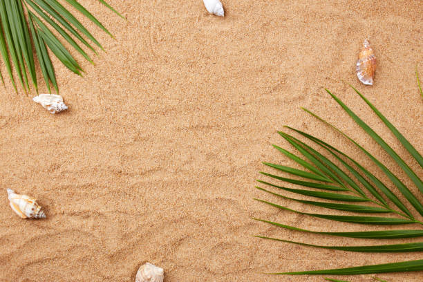 istock Palm leaf and shells on a sandy beach. Summer natural background. A pattern in the form of waves on the sand on the beach 1711326124