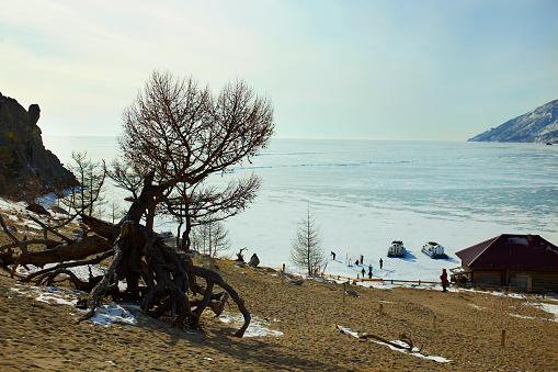 Lake Baikal in winter. Stilted trees in Sandy Bay, a hovercraft with tourists on the ice. Winter trip.