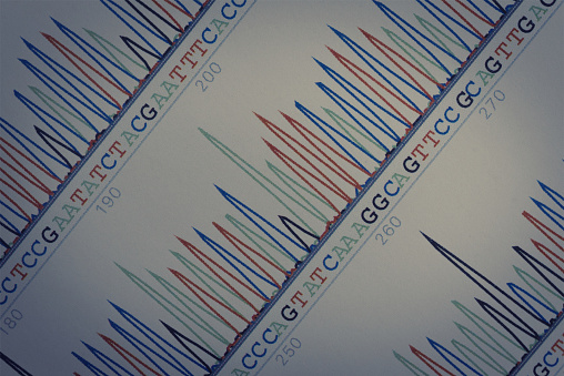 Dna Graph Include C Dna Sequence Chart Stock Photo - Download Image Now - RNA, Abstract ...