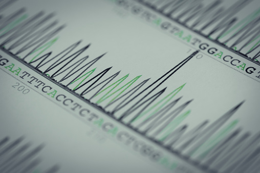Dna Analysis Graph Dna Sequence Chart Stock Photo - Download Image Now - Abstract ...