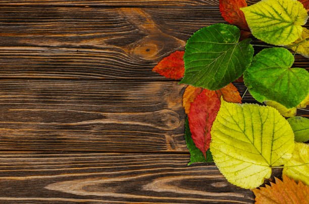 Autumn composition of dried leaves on the table. Flat lay, top view, copy space.