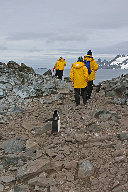 pinguim seguintes antártica turistas - rough antarctica wintry landscape south pole - fotografias e filmes do acervo