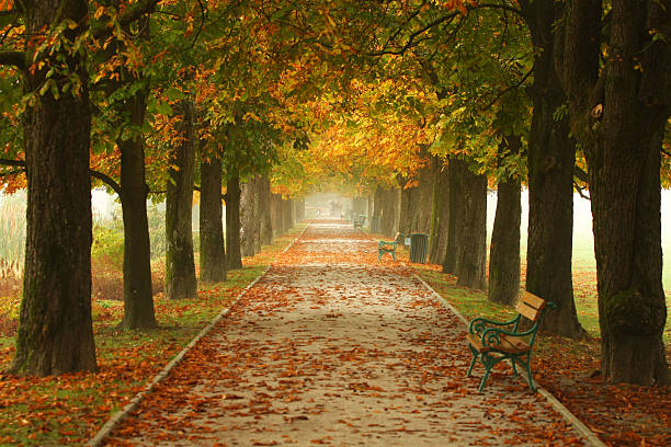 istock Colors of autumn 171136040