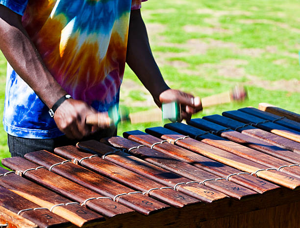 Marimba player Hands of a marimba player at an outdoor gig. Hands and beaters are motion-blurred. Camera: Canon EOS 1Ds Mark III. marimba stock pictures, royalty-free photos & images