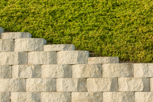 Ground cover grows above retaining wall. Nice pattern or background.