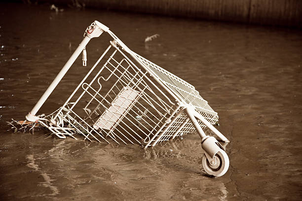 Shopping cart at the rocks. Coastal scenes at the coast of tasman Sea in New Plymouth New Zealand.