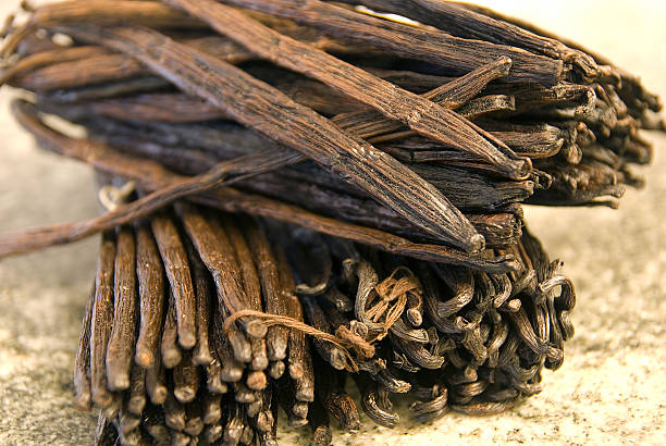 vanillabeans many vanilla beans - viele Vanielleschoten lot of vanilla vanilla orchid stock pictures, royalty-free photos & images