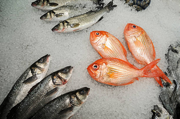 istock red snapper, trout and perch at fish market 171136591