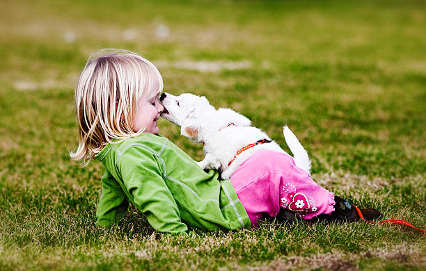 istock Puppy nibbling child's nose 171136649