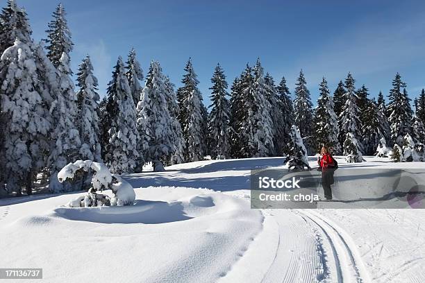 Corredor De Esqui No Inverno De Bonito Dayrogla Slovenia - Fotografias de stock e mais imagens de Atividade Recreativa