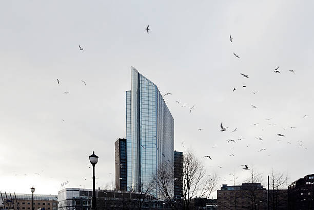 Hotel in the city of Oslo, Norway. Birds in the air.Please see some similar pictures from my portfolio: