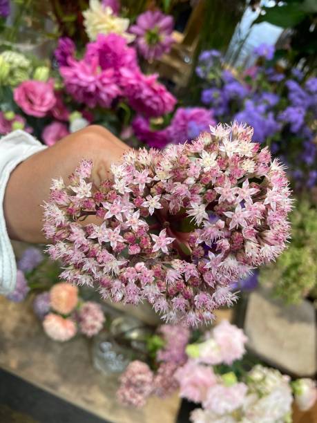 istock flowers that form a heart 1711369101