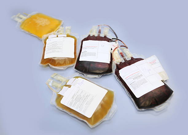 Blood bags with red and white blood cells Doctor in a blood bank is holding blood bag  with red blood cells blood plasma stock pictures, royalty-free photos & images