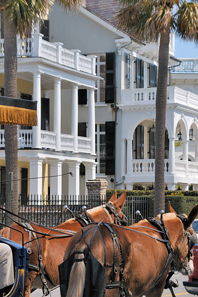 istock Historic Charleston, South Carolina 171137025