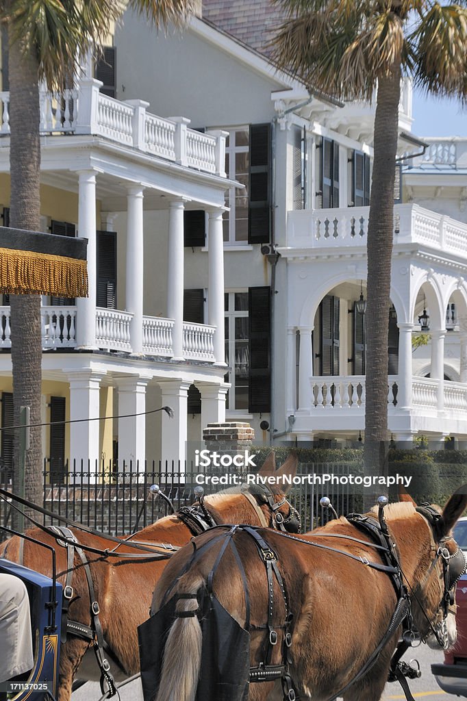 Historic Charleston, Carolina do Sul - Foto de stock de Carolina do Sul royalty-free