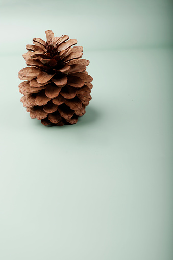 christmas pineapple on green background with copy space