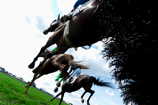 A low angle view of horses landing after jumping a hurdle during a steeplechase horse race.