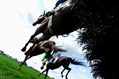 Low angle view of Horse Racing - Steeplechase