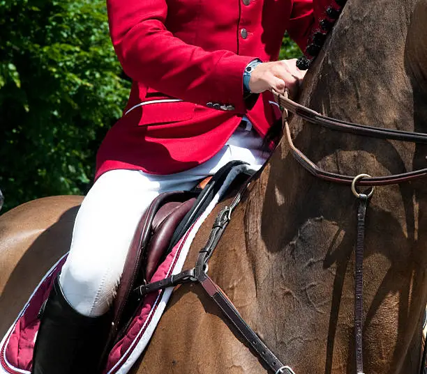 rider with horse on a show jumping, but could also be on a traditional fox hunting in England. Please see here some related horse pictures and photos: