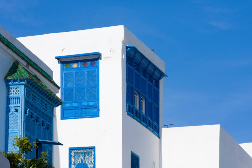 in the blue and white town of Sidi Bou Said / Tunis