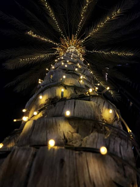 paradiso delle palme - christmas palm tree island christmas lights foto e immagini stock