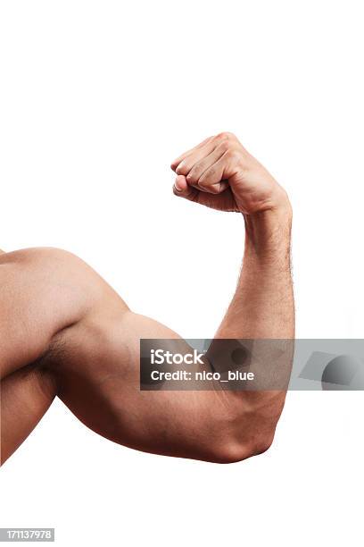 Flexing Stockfoto und mehr Bilder von Muskulös - Muskulös, Bizeps, Groß