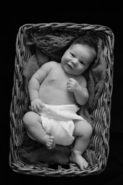 New born baby boy in a basket stock photo