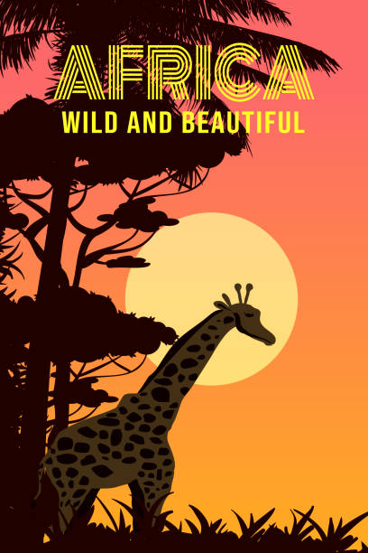 Africa savanna sunset Travel poster. Exotic landscape, giraffe, vintage, silhouette, vector illustration