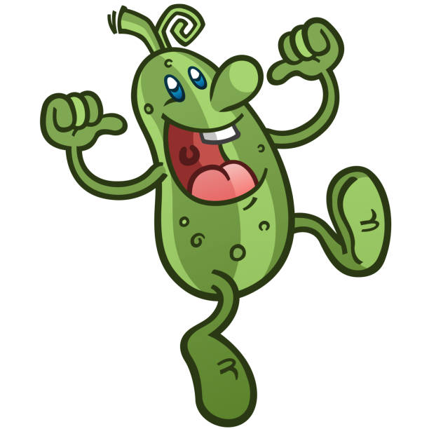Silly Retro Styled Cartoon Pickle Jumping Happily and Pointing with two thumbs vector art illustration