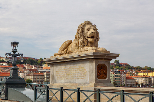 Lion statue on the Széchenyi Chain Bridge in Budapest