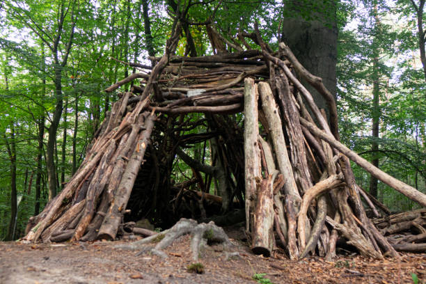 istock A tent made of branches built in the woods. Germany 1711435255