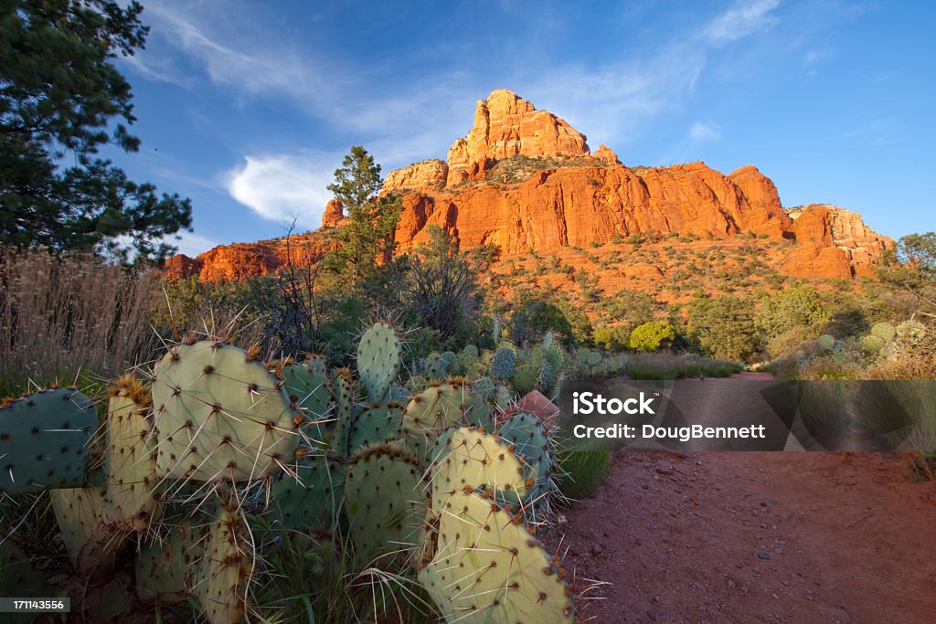 Prickly Pear de randonnée à Sedona, en Arizona - Photo de Arizona libre de droits