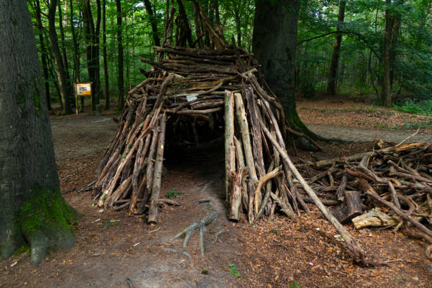 A tent made of branches built in the woods. Germany