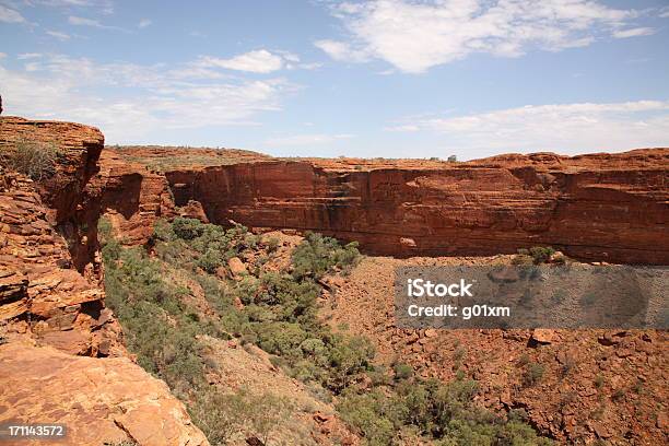 Paisaje De Kings Canyon Foto de stock y más banco de imágenes de Aire libre - Aire libre, Ajardinado, Alice Springs